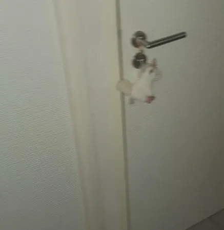Apartamento 13 Pérols